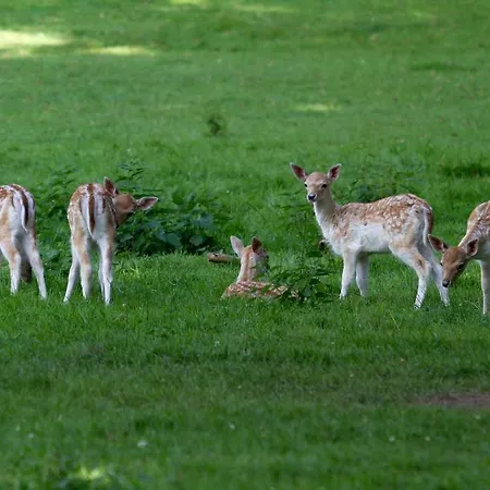 Gasthuis Manoir De Tromcourt 3*