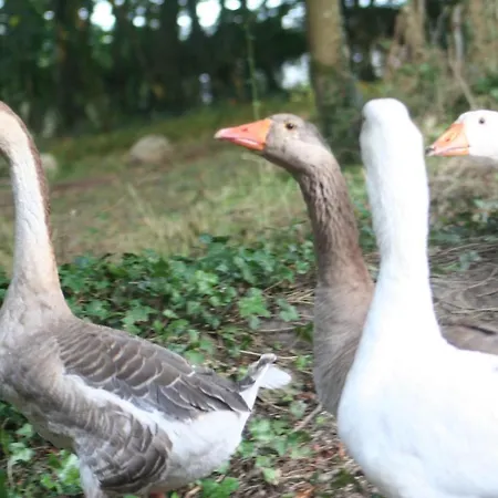 招待所 Manoir De Tromcourt 3*