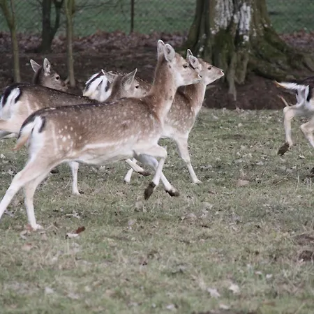 Manoir De Tromcourt Gasthuis 3*