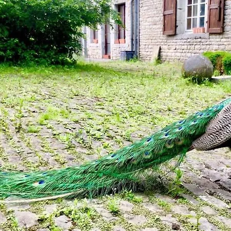 Manoir De Tromcourt 库万