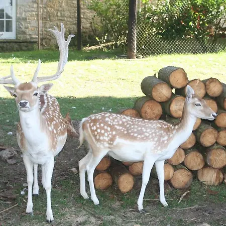 Manoir De Tromcourt Couvin