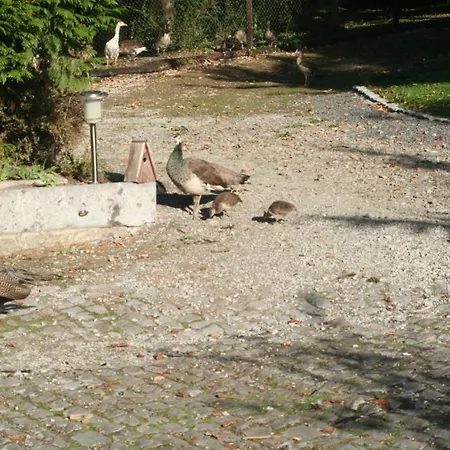 Tromcourt Gasthof